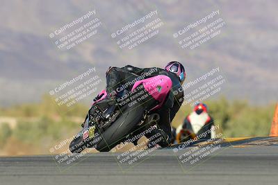 media/Feb-04-2023-SoCal Trackdays (Sat) [[8a776bf2c3]]/Turn 9 Backside (145pm)/